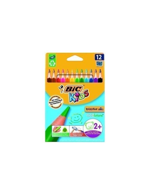 BIC LAPICES EVOLUTION TRIANGULAR GRUESO C/12