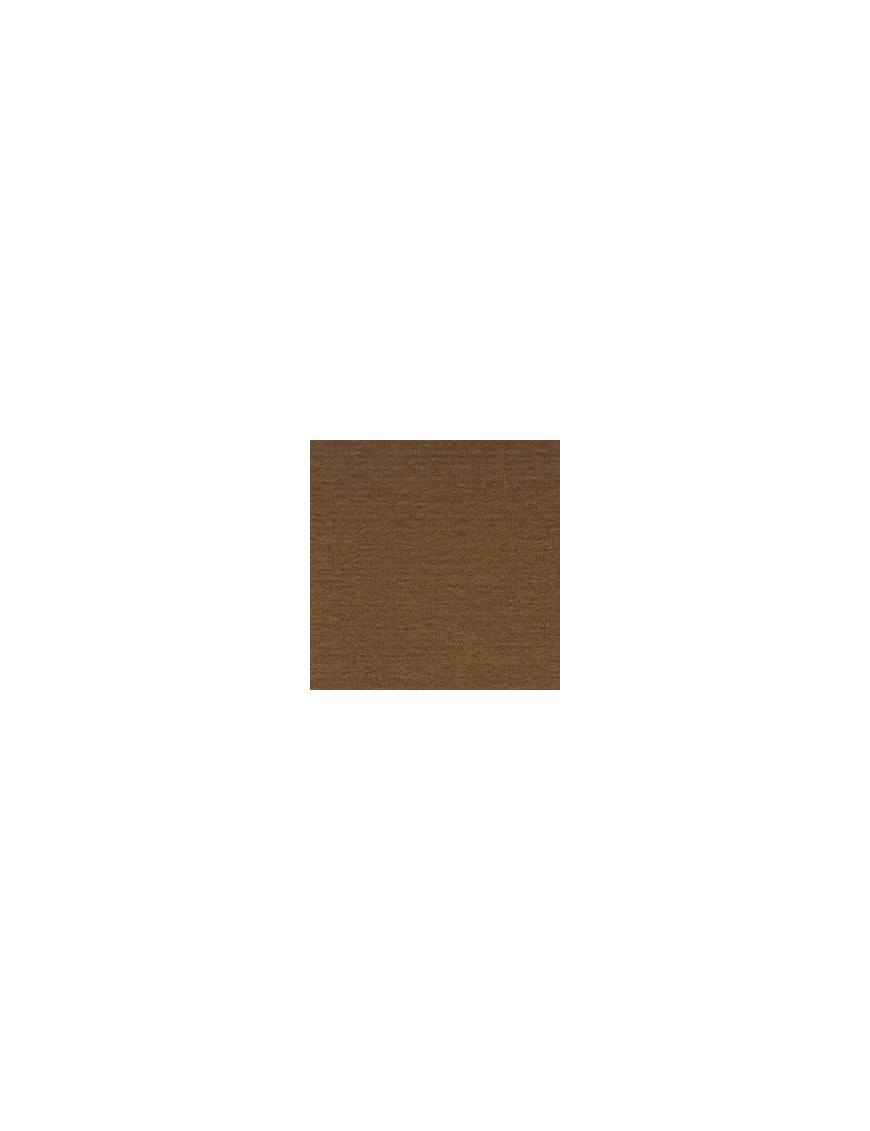 CARTULINA MARRON CHOCOLATE Nº 3450X65 CANSON 185GR