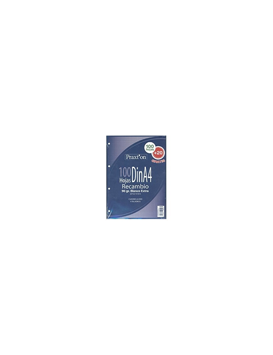 RECAMBIO 100+20 4 TALADROS 90GR C/20 PRAXTON