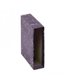 CAJA ARCHIVADOR JASPEADO PRAXTON A4