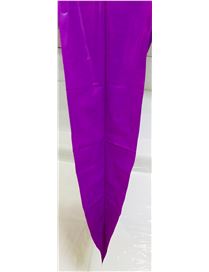 GM FUCSIA