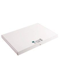 CARTULINA A3 BRISTOL EXACOMPTA 100H 205 GRS