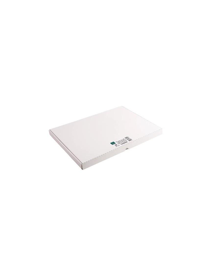 CARTULINA A3 BRISTOL EXACOMPTA 100H 205 GRS