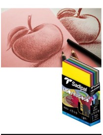 EXP.DE CARTON PARA CARTULINA LR 450 UDS SADIPAL