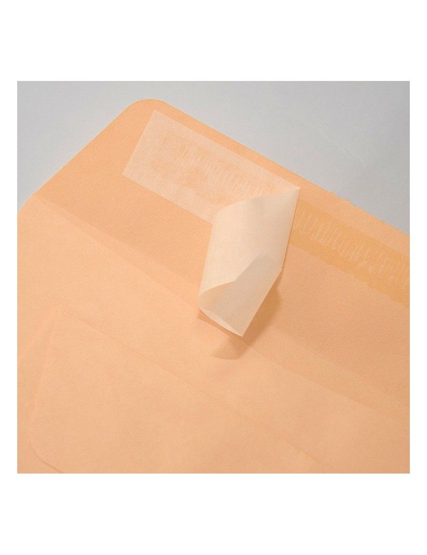 BOLSA CELULOSA 184X261 CC-6