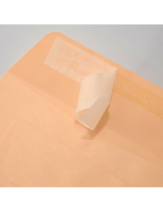 BOLSA CELULOSA 184X261 CC-6