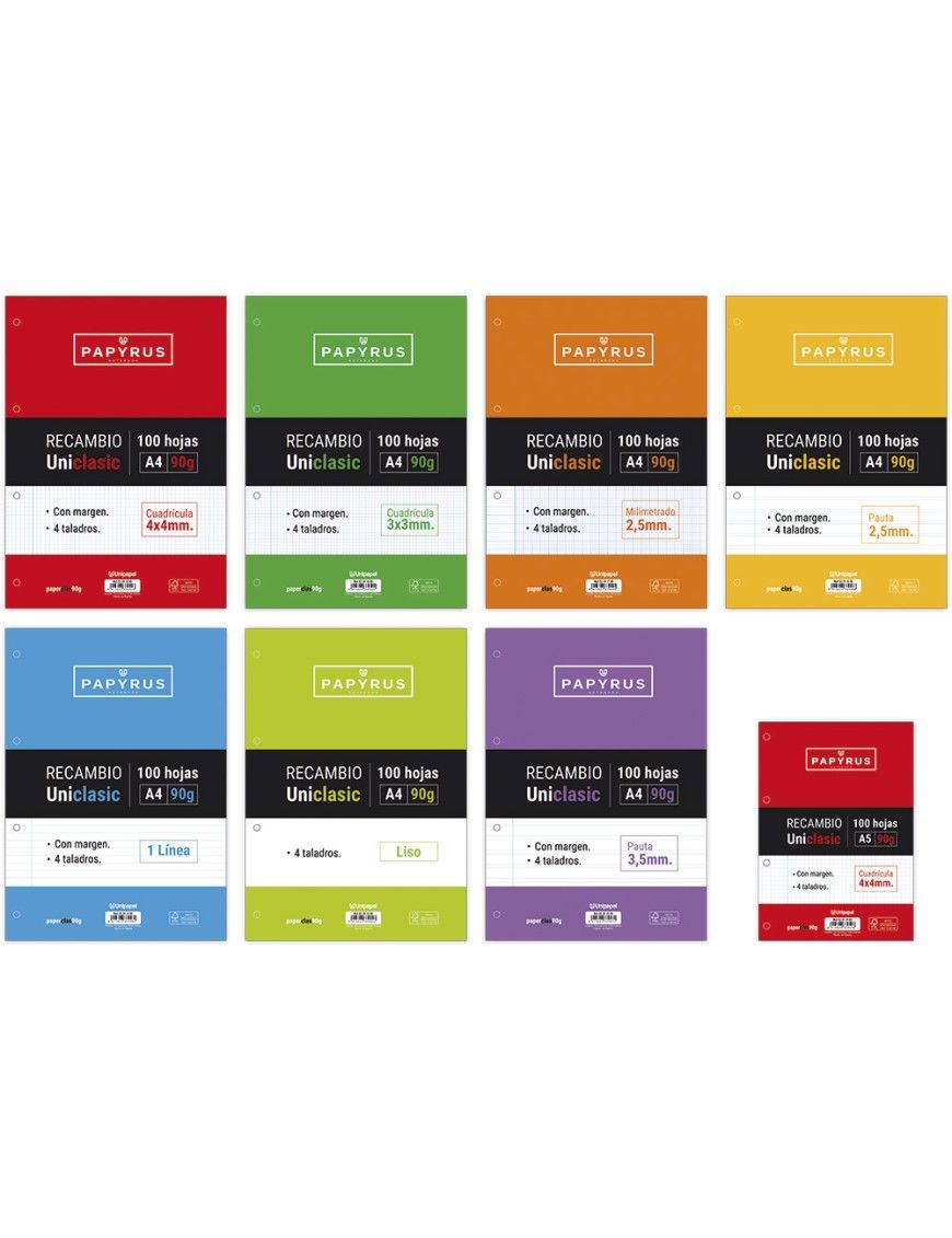 RECAMBIO PAPYRUS HORIZONTAL 100 H 90 GRS