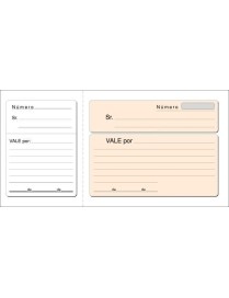 TALONARIO VALES T-14 LOAN