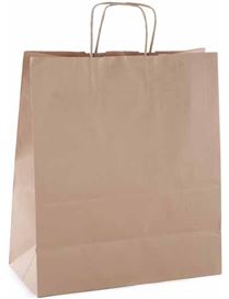 AP 101645 BOLSAS