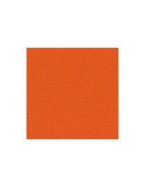 CARTULINA MANDARINA Nº 8 50X65 CANSON IRIS 185GR