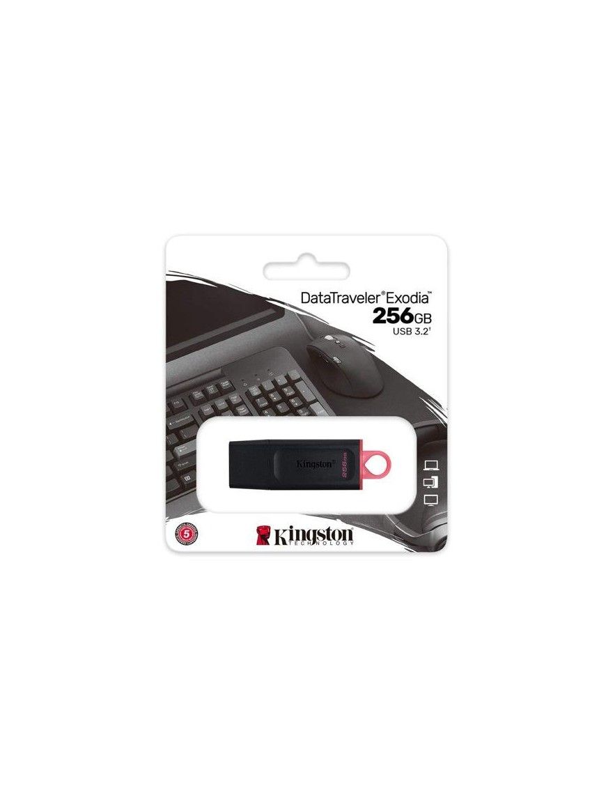 PEN DRIVE KINGSTON 256GB
