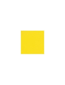 CARTULINA FABRIANO 185 g - 50 x 65 cm AMA INTENSO