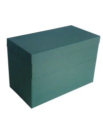 CAJA TRANSFERENCIA DOBLE Fº VERDE
