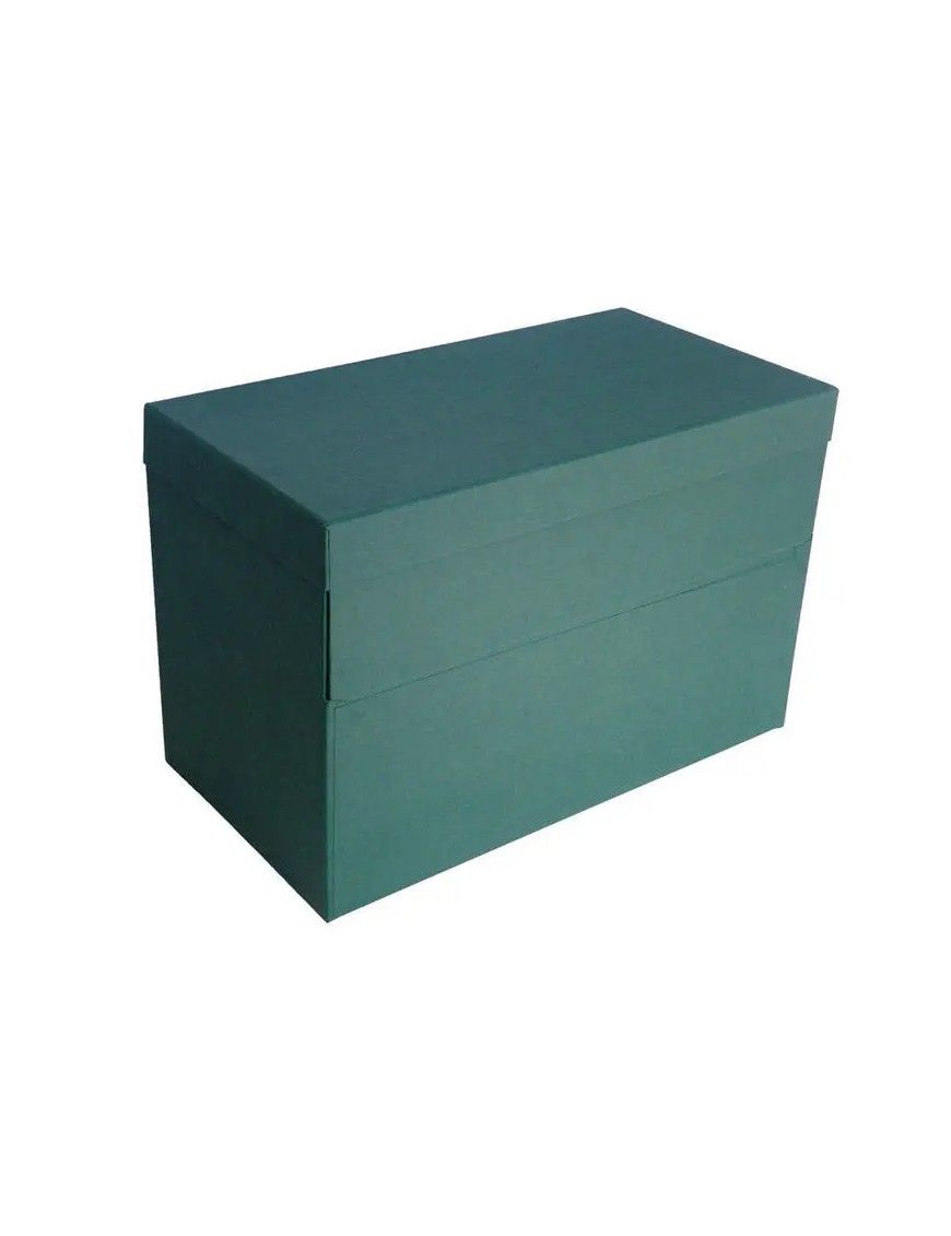 CAJA TRANSFERENCIA DOBLE Fº VERDE
