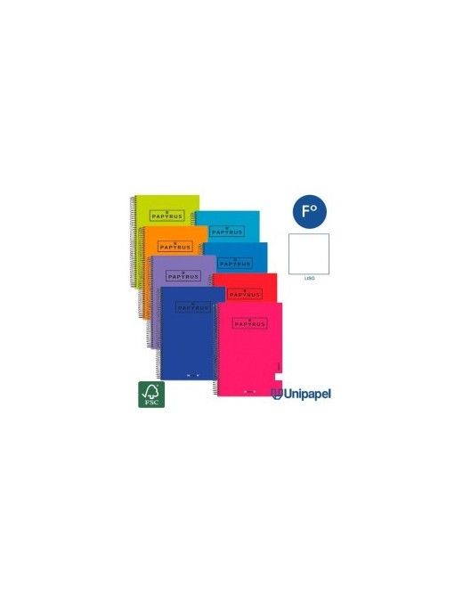 BLOCS PAPYRUS T/E FOLIO LISO 80h 90 gr