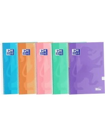 C.Fº TE SCHOOL WRITE&ERASE 80H PASTEL