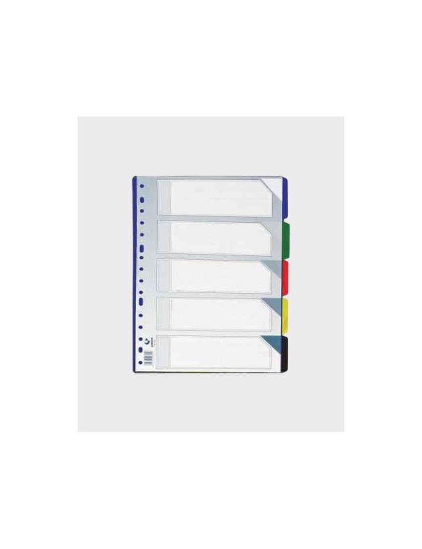 SEPARADOR 5 POSIC FOLIO TRANSLUCIDO