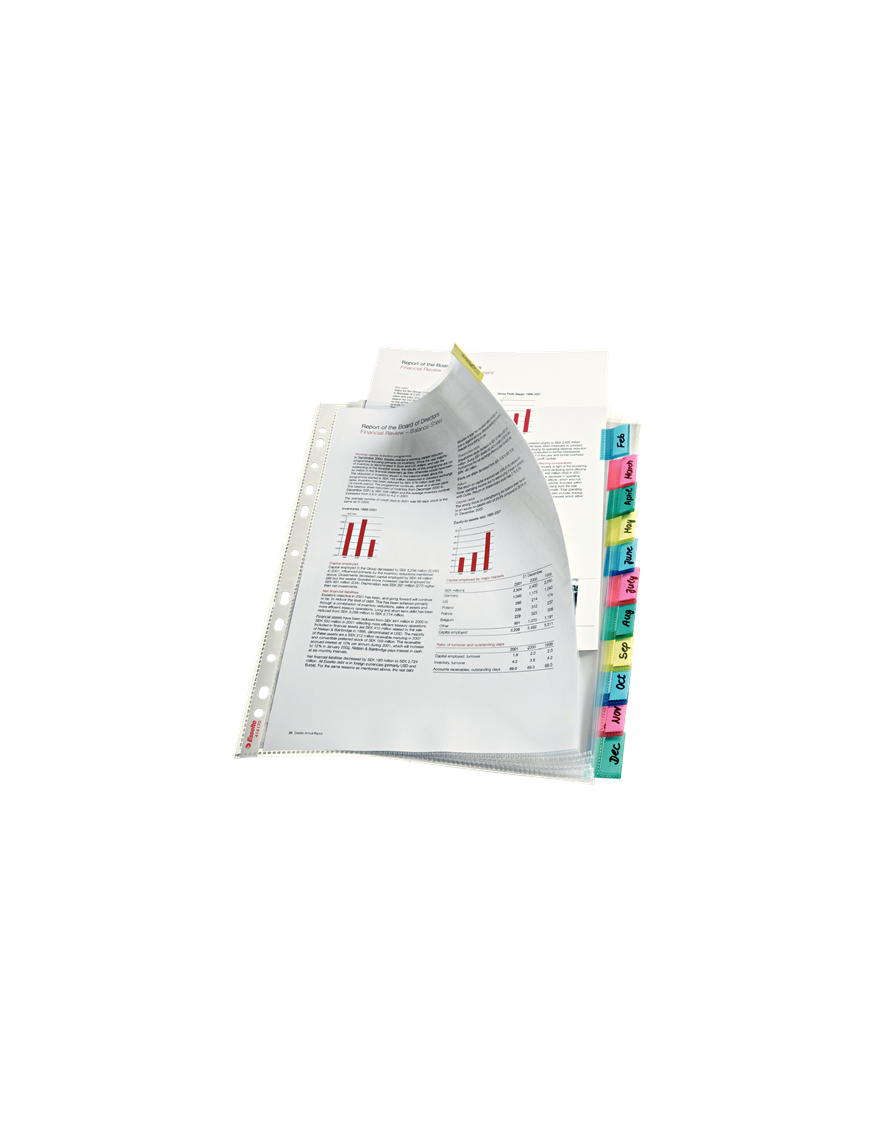 PACK DE 12 FUNDAS MULTITALADRO CON PESTAÑA ESSELTE