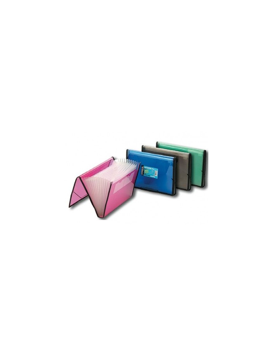 CARPETA FUELLE CON GOMAS FOLDERMATE 134