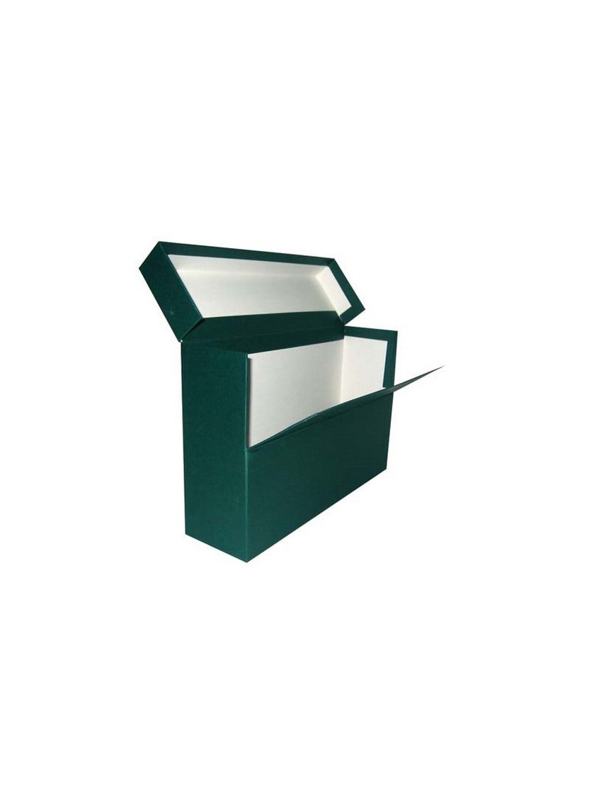 CAJA TRANSFERENCIA A4 VERDE