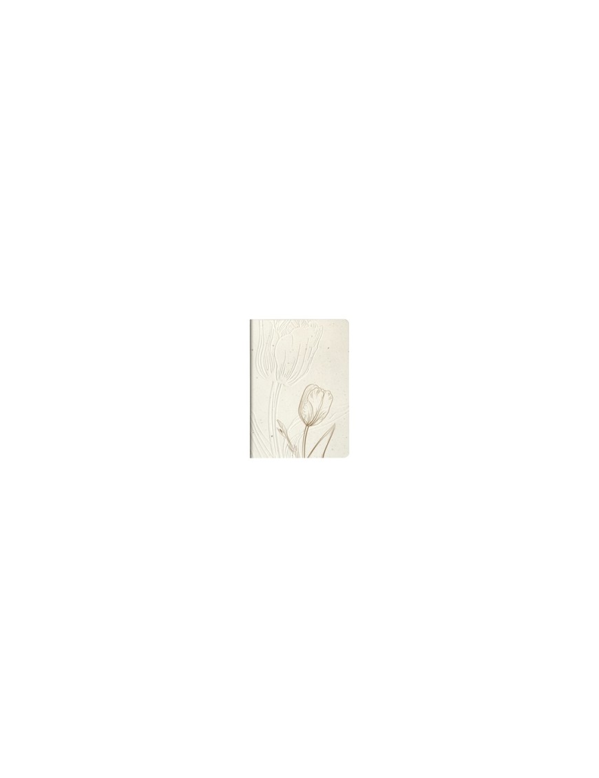EXACOMPTA TULIP A5 32 H
