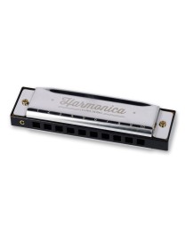 HARMONICA DIATONICA LEGAMI