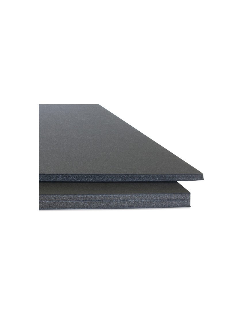 CARTON PLUMA 10 MM 70X100 NEGRO
