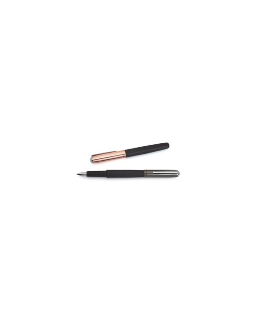 PLUMA INOXCRON ICTINEO