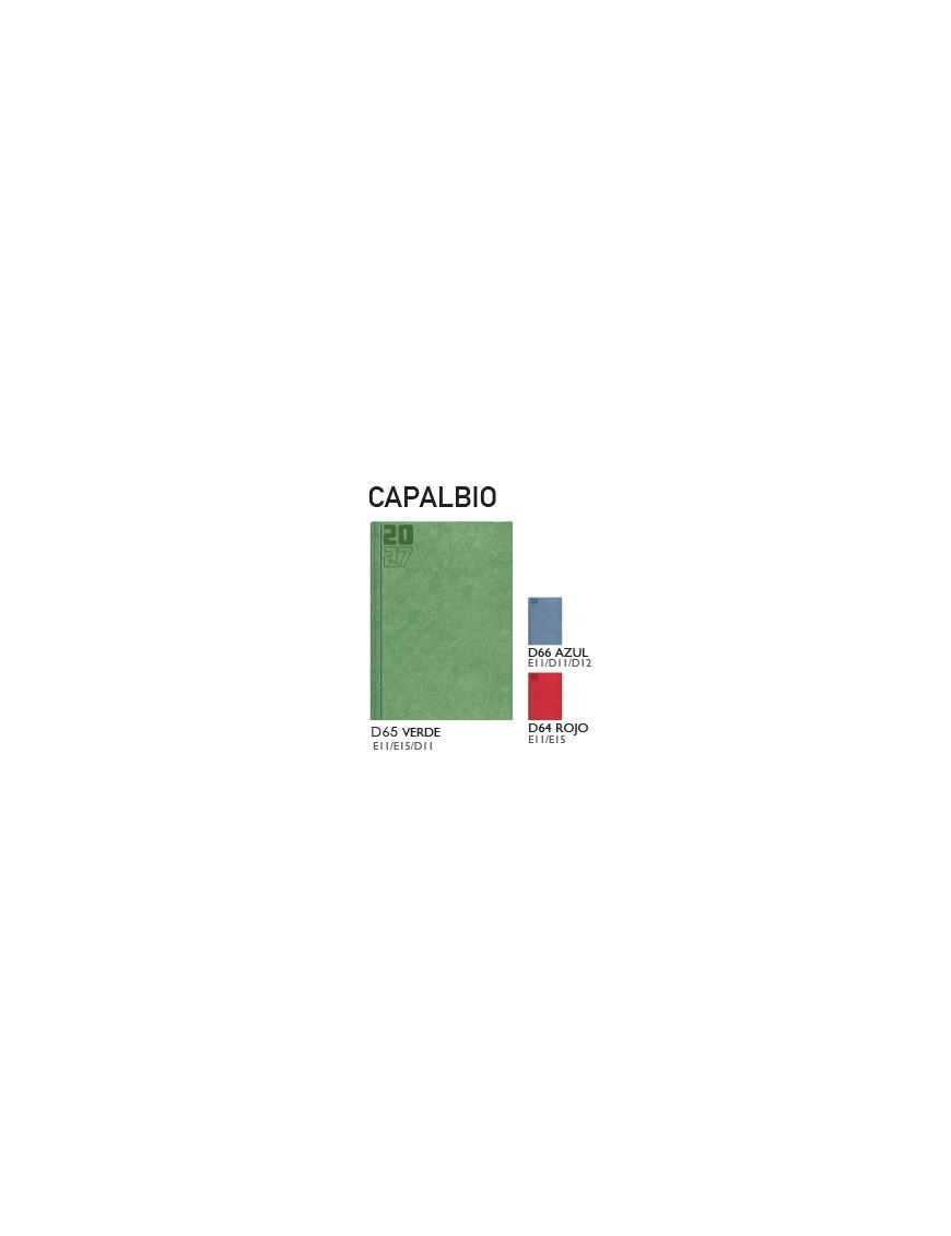 AGENDA PRAXTON CAPALIO 17X24 D11 D/P SABA Y DOMIN