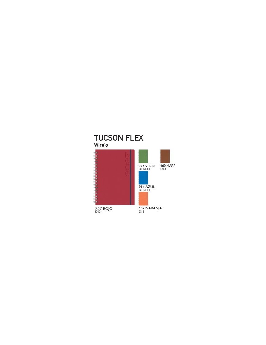 AGENDA TUCSON FLEX ESPIRAL D13 DIA PAGINA 17X24