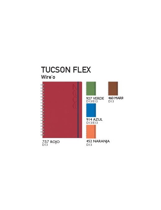 AGENDA TUCSON FLEX ESPIRAL D13 DIA PAGINA 17X24