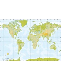MAPA MUDO PLANISFERIO FISICO 4 COLORES