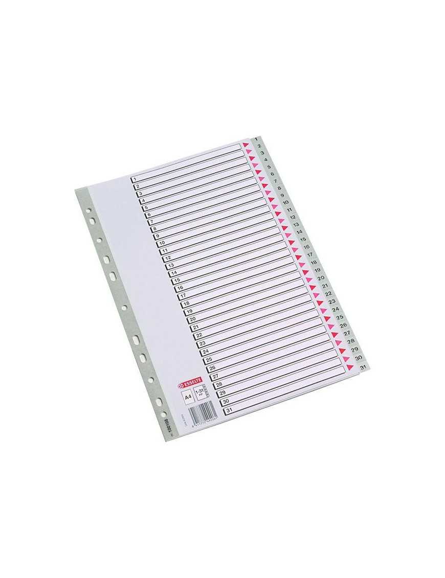 INDICE NUMERICO 1-31 POLIPROPILENO ESSELTE