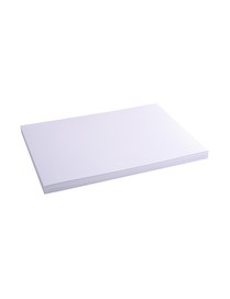 CARTULINA A3 BRISTOL EXACOMPTA 100H 205 GRS