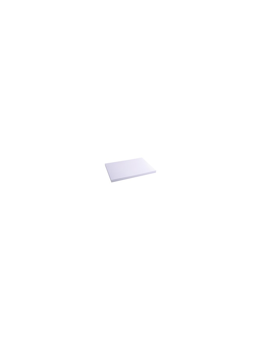 CARTULINA A3 BRISTOL EXACOMPTA 100H 205 GRS