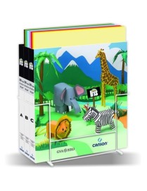 EXPOSITOR 200 CARTULINAS IRIS CAJA B DE 50X65