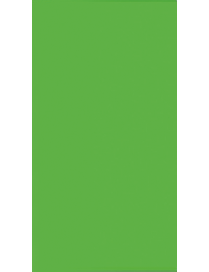 CARTULINA A4 VERDE BILLAR Nº 29 IRIS 185GR.