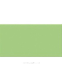 CARTULINA VERDE MANZANA Nº27 50X65 IRIS 185GR.