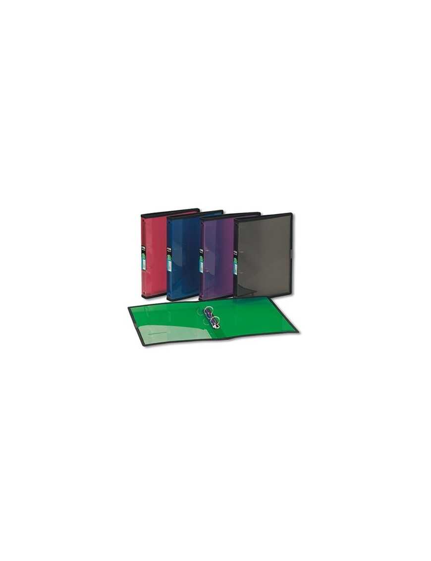 CARPETA DE 2 ANILLAS DE 25 MM. FOLDERMATE 239
