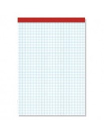 BLOC NOTAS PERFORADO FOLIO 80 H CUADRICULADO PACSA