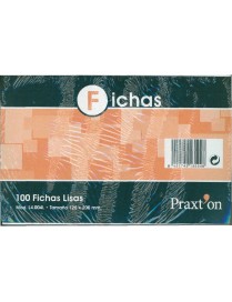 FICHAS Nº4 LISAS 125X200 PRAXTON